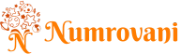 Numerology and Astrology Consultancy'