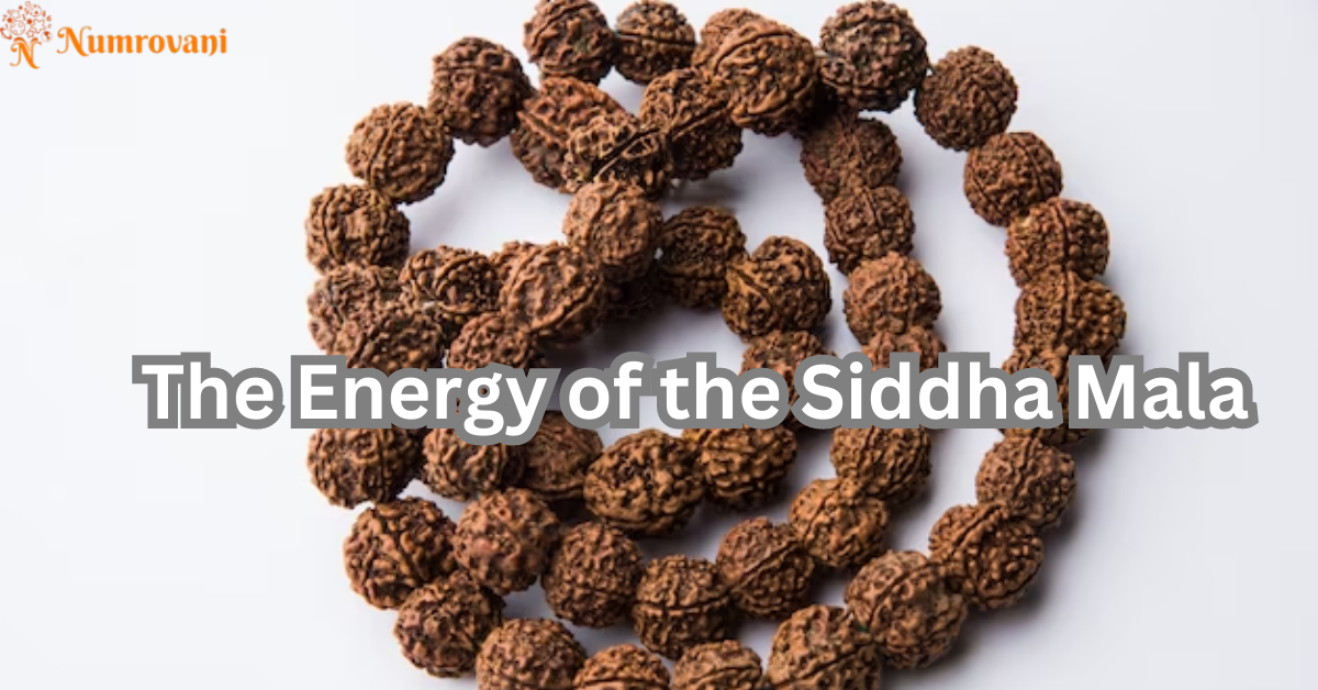 The-Energy-of-the-Siddha-Mala.